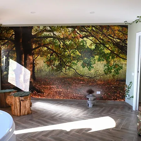 Borgo Sciugolo Alojamento de Acomodação e Pequeno-almoço 4*